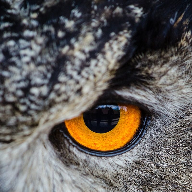 On The Right Track? Eye Tracking in Research and Practice – Human Cockpit